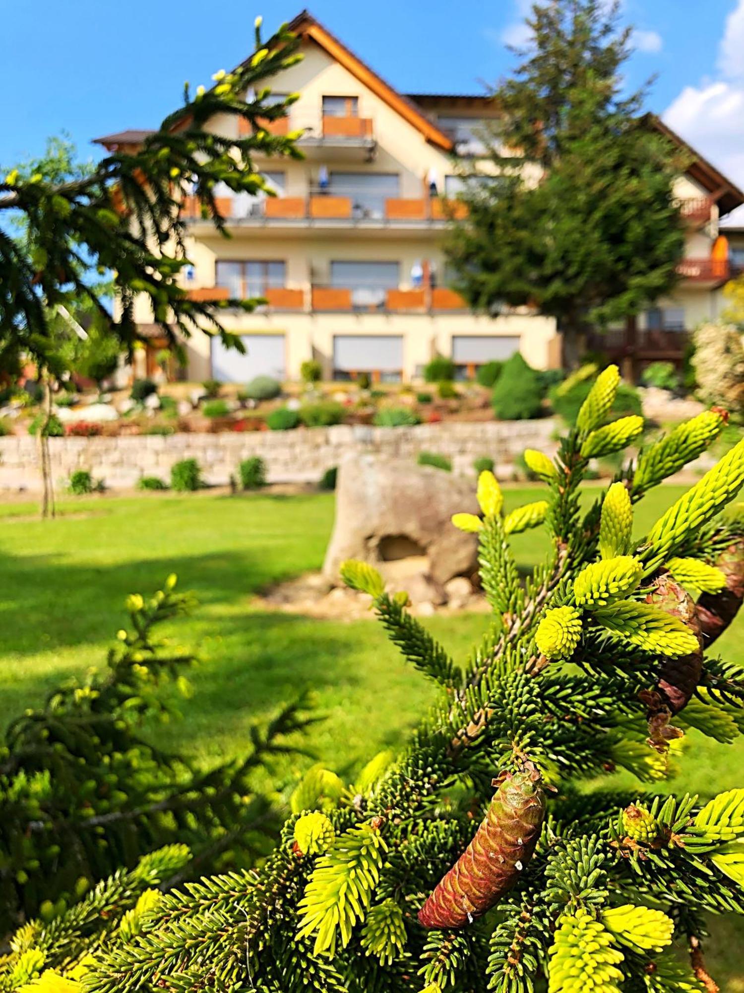 Hotel-Gasthof Rose Оберкирх Екстериор снимка